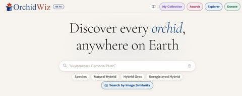 OrchidWiz Encyclopedia is now at OrchidWiz.org with Beta Pricing through July 31, 2026